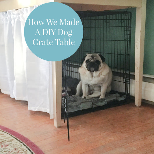 photo of a fawn pug sitting in a large dog crate with a table over it and a white curtain over the front with a teal colored circle containing the words How We Made A DIY Dog Crate Table in white