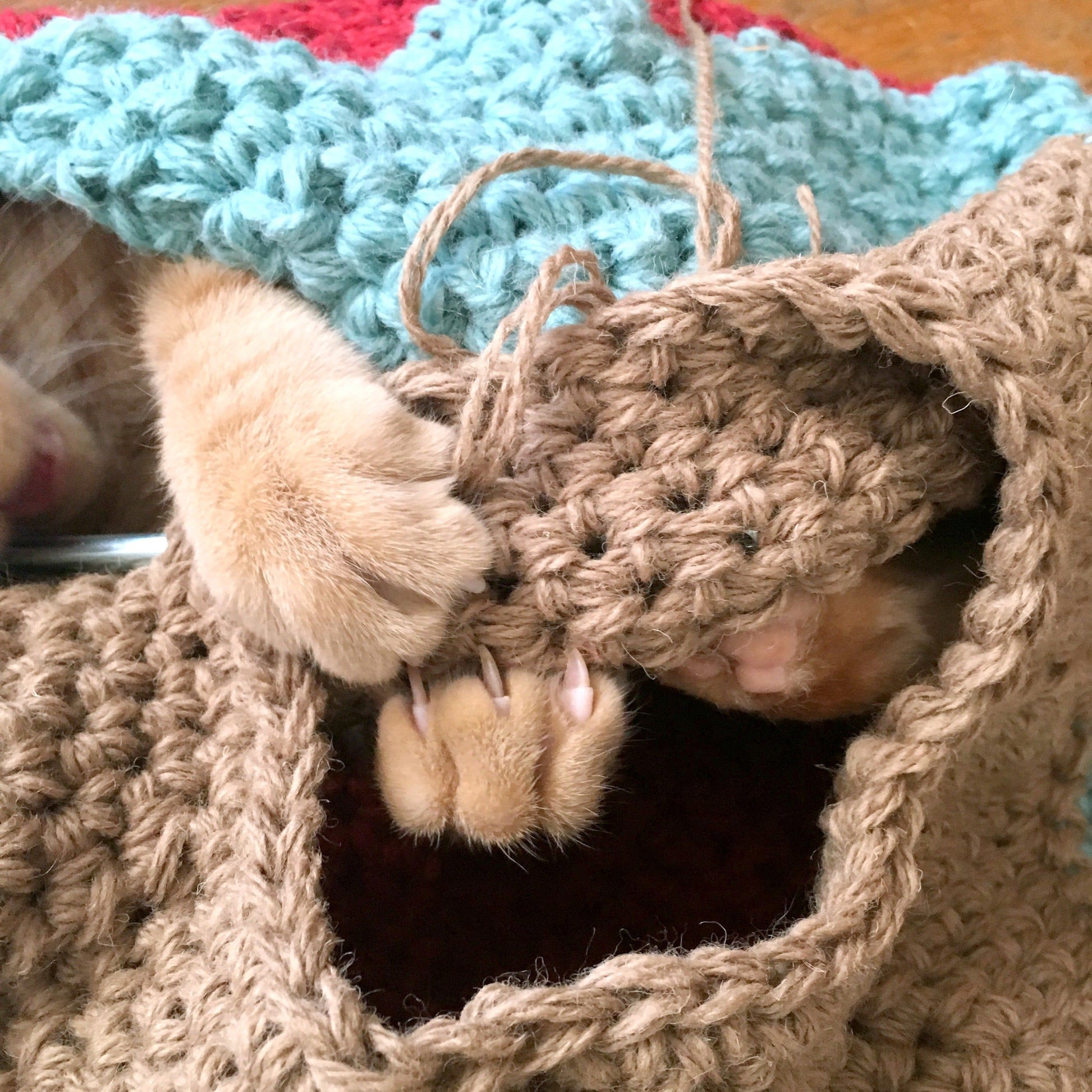 Knot By Gran'ma  Digital Crochet Pattern Cat Cave Crochet Pattern (Update Coming Soon)