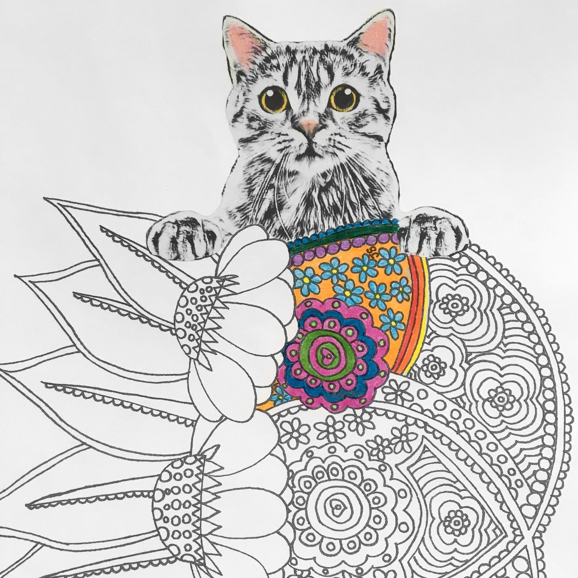 Digital Download Floral Cat Printable Coloring Pages for Adults – Knot By  Gran'ma