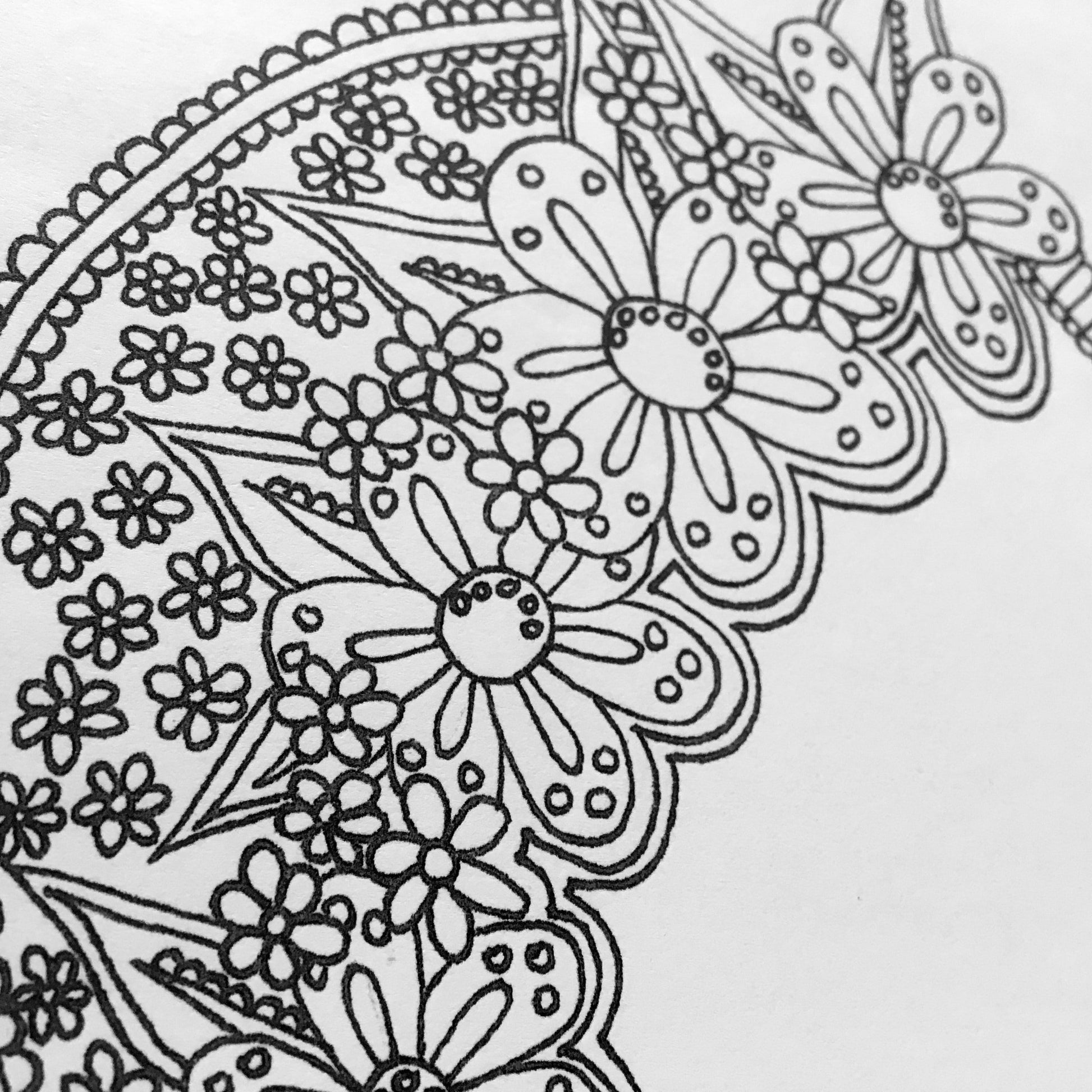 Knot By Gran'ma Coloring Pages and Books Digital Download Floral Cat Printable Coloring Pages for Adults